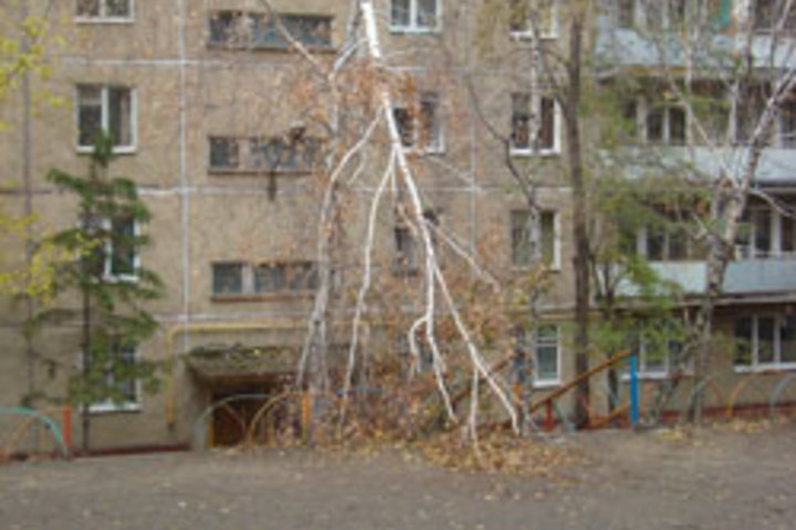 Между домами по ул. Шелковичная, 204 и 192