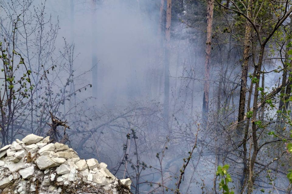 Чиновники отчитались, что огонь в национальном парке «Хвалынский» потушен