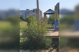 «Когда же там будет порядок?!»: саратовчанка возмутилась состоянием парка Солнечный, благоустройство которого власти «забросили»