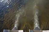 Суд пришел к выводу, что стоки в районе нового пляжа Саратова делают воду в Волге только лучше, а «Водосток» не должен возмещать ущерб в 3,8 миллиона