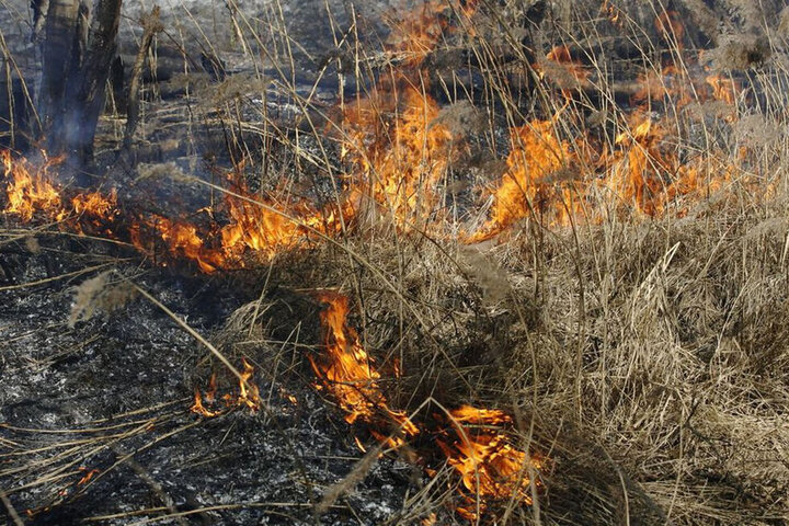 В Саратовской области за год почти на 30% выросло число пожаров