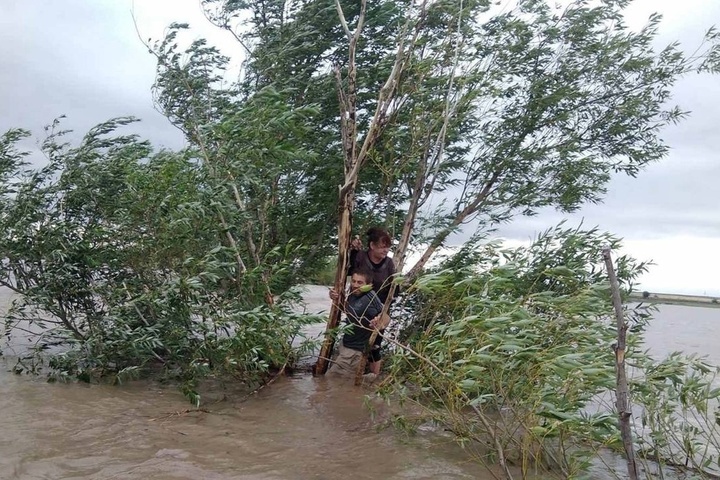 Потоп в Озинском районе. Спасатели помогли ребенку и двоим взрослым, которых смыло с дороги и чуть не унесло течением
