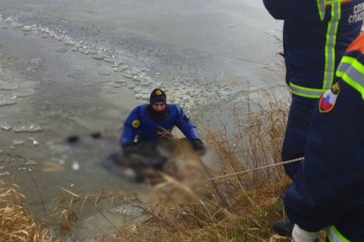 В Балашовском районе выловили труп мужчины, который провалился под лёд