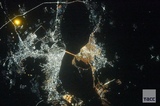 Саратов и Энгельс сфотографировали из космоса в рамках спецпроекта