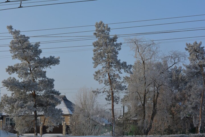 Жителей Саратовской области ждёт морозная неделя и две неблагоприятные ночи