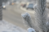 В мартовские праздники в Саратовской области ударят морозы до -22 градусов