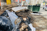 Саратовский регоператор фиксирует захламление площадок для ТКО древесно-растительными отходами