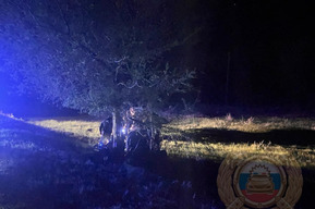В Балаковском районе ВАЗ с молодыми людьми врезался в дерево: двое погибли, двое в больнице