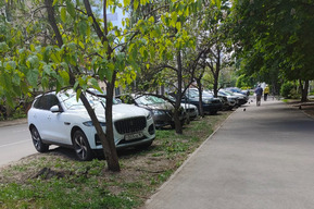 Горожанин запечатлел Jaguar и ещё десяток машин на зелёной зоне на улице Рабочая