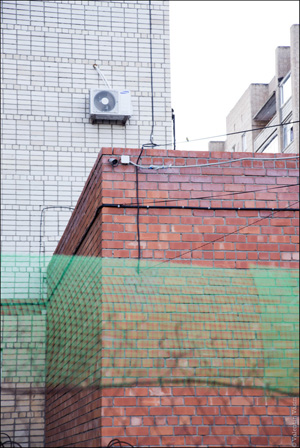 Ставка на кровь Ставка на кровь