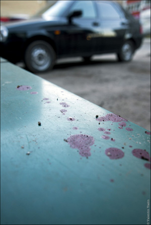 Ставка на кровь Ставка на кровь