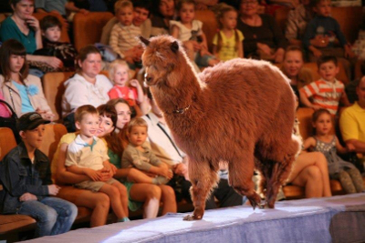 Понибратство