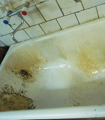 Мученики науки