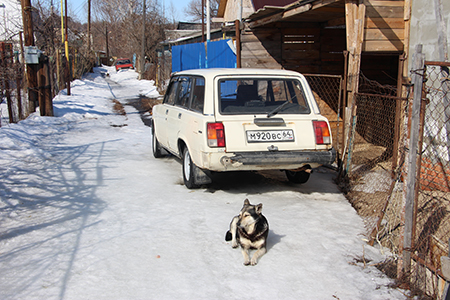 Поливановка. Разморозка