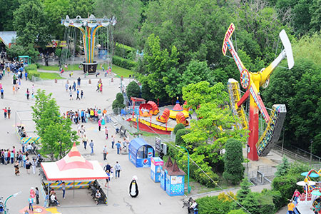 Светлые аллеи Светлые аллеи