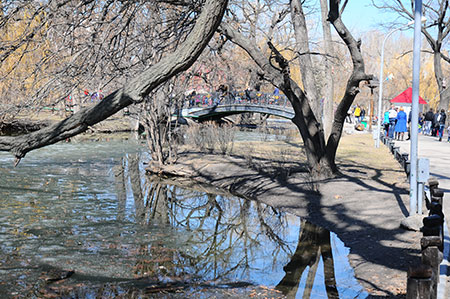 Светлые аллеи Светлые аллеи