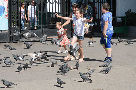 Светлые аллеи Светлые аллеи