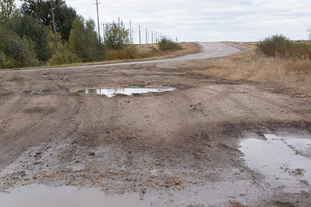 Последние декабристы Последние декабристы