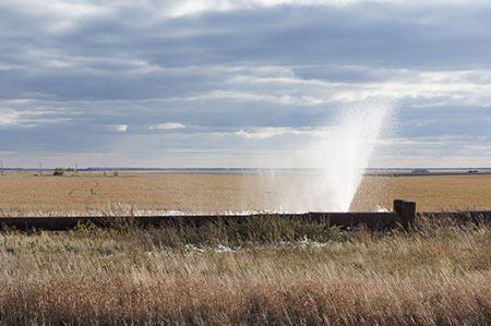 Последние декабристы Последние декабристы
