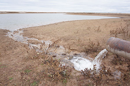 Последние декабристы Последние декабристы