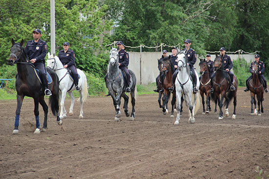 Картина недели с 13 по 19 мая