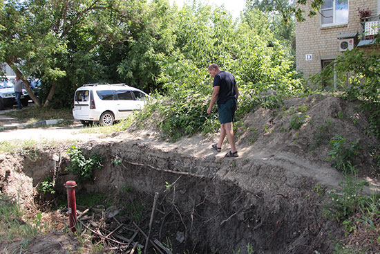 Картина недели с 8 по 14 июля