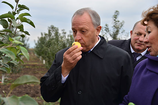 Картина недели с 16 по 22 сентября Картина недели с 16 по 22 сентября