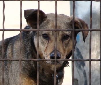 без названия