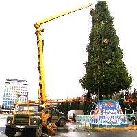 без названия