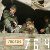 без названия без названия