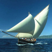 без названия