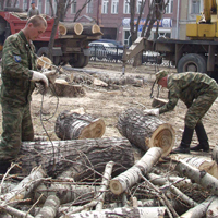 без названия