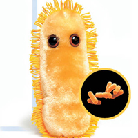 без названия