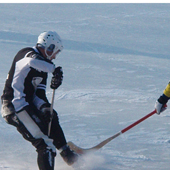 без названия