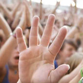 без названия