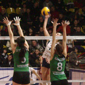 без названия