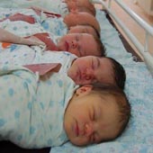 без названия