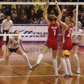 без названия