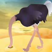 без названия