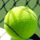 без названия