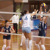 без названия