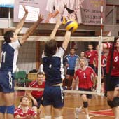 без названия