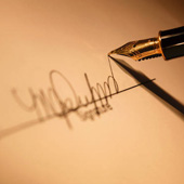 без названия