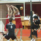 без названия