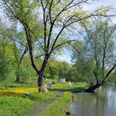 без названия