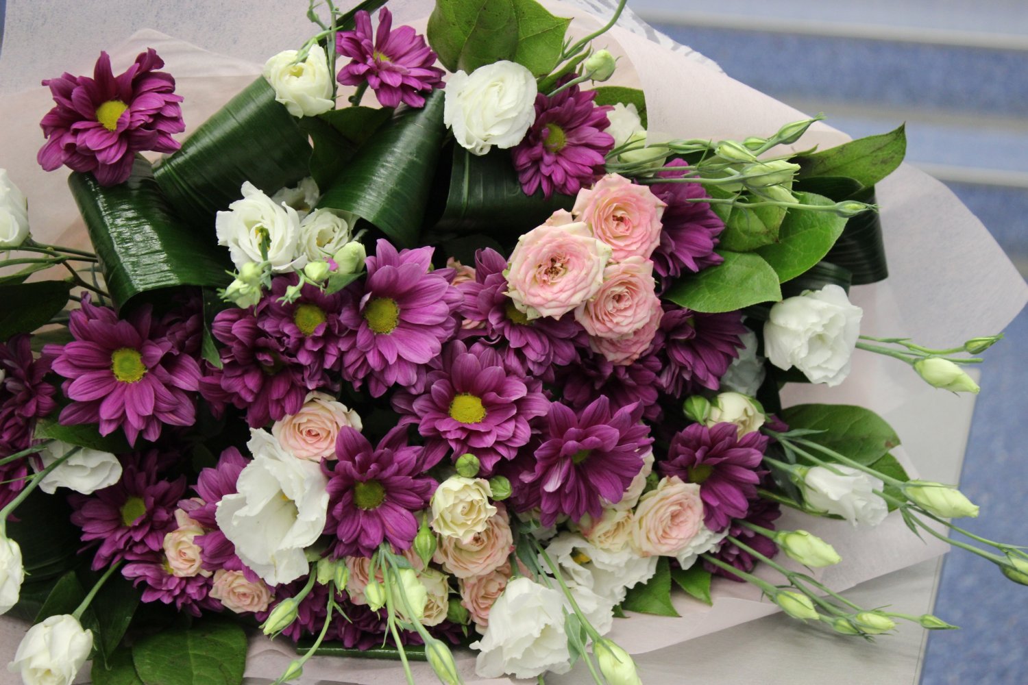 WwgjULnhgKY WwgjULnhgKY