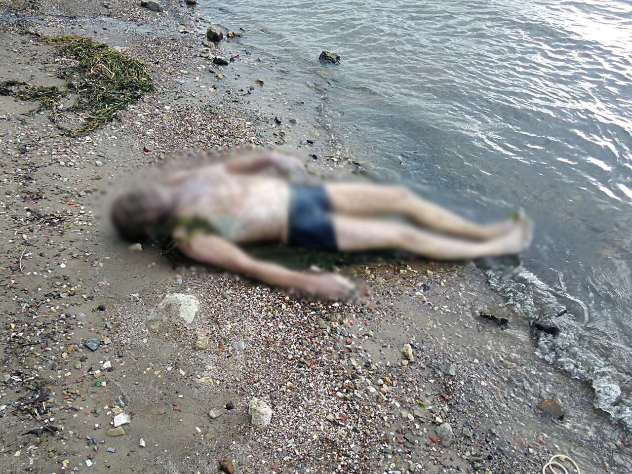 «Что происходит с телами утонувших людей, когда их долго не могут найти спасатели?» — Яндекс Кью