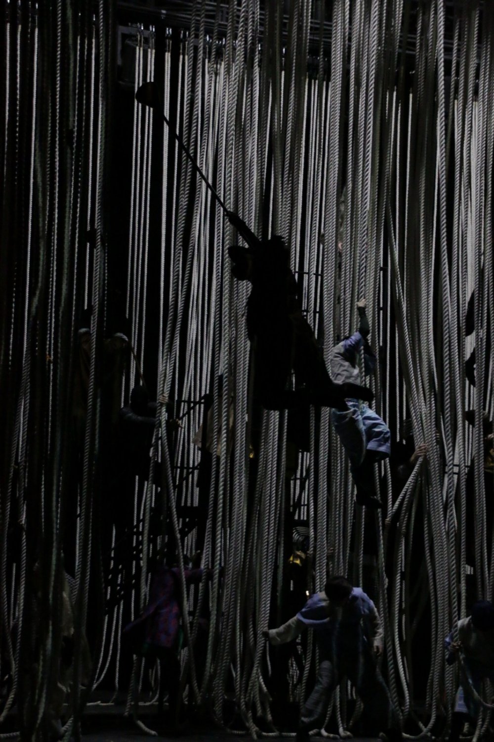 IMG_9750 IMG_9750