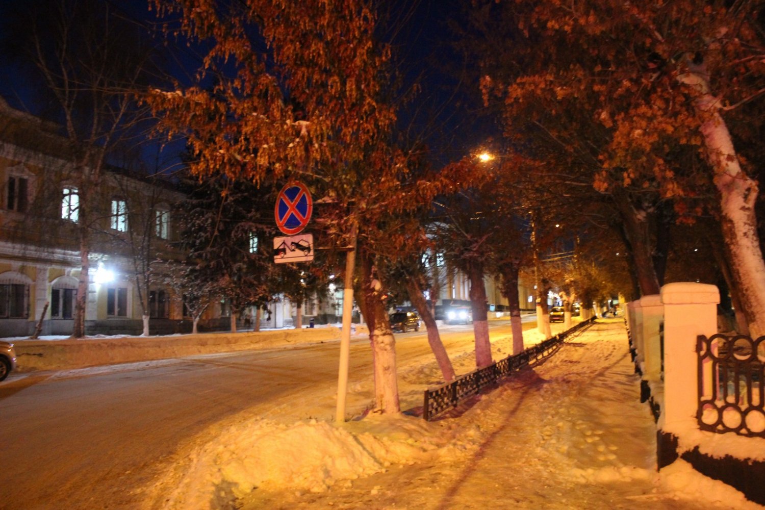 IMG_9950 IMG_9950