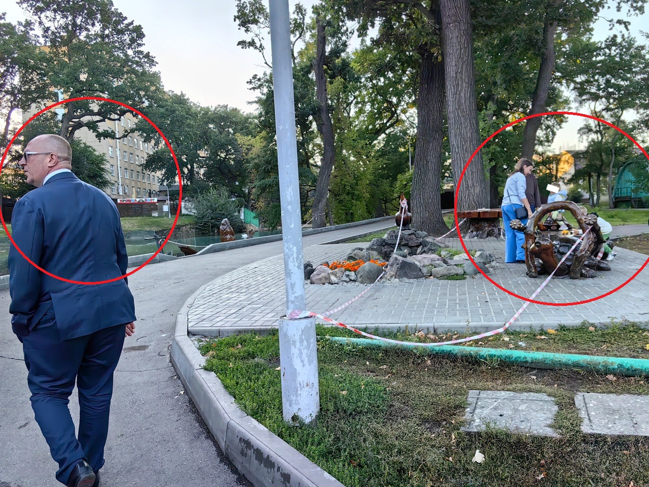 за ограждением